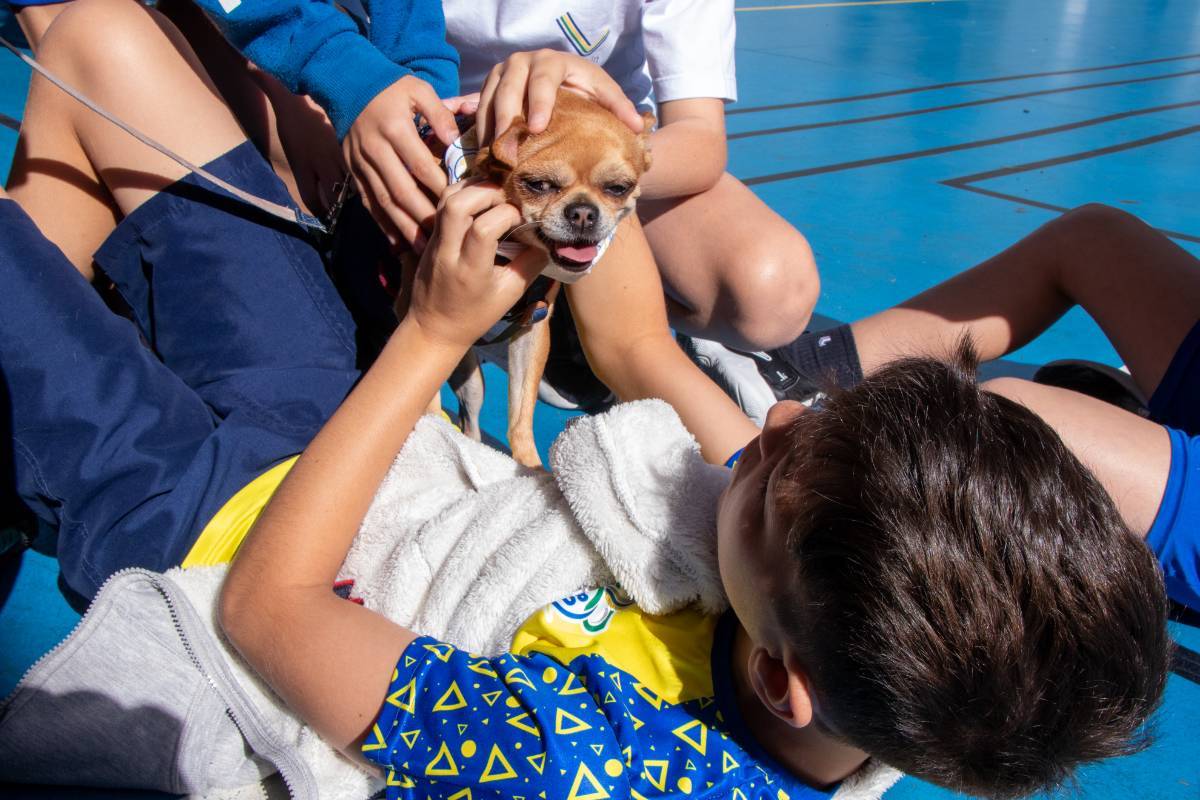 Nosso animado Pet Day - 16