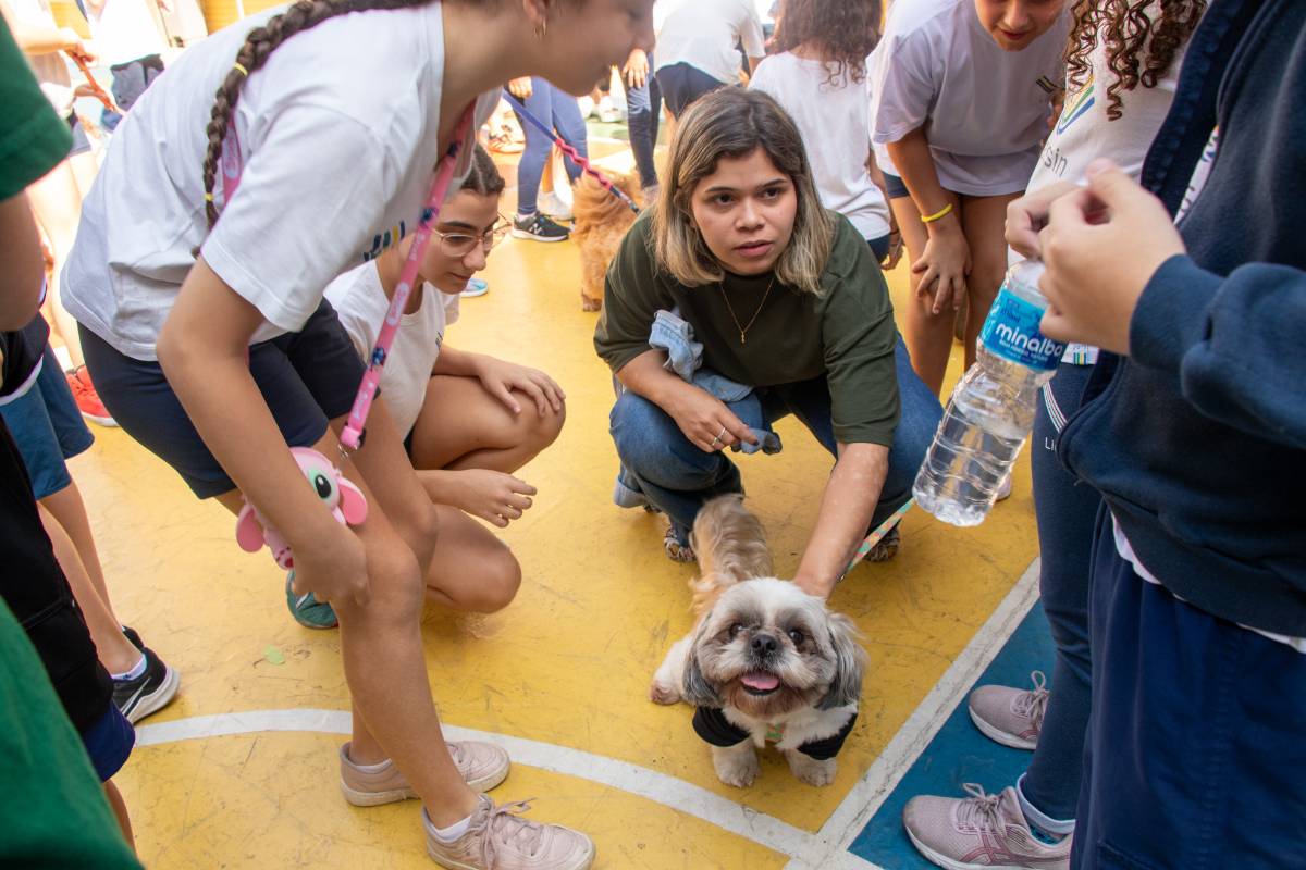 Nosso animado Pet Day - 76