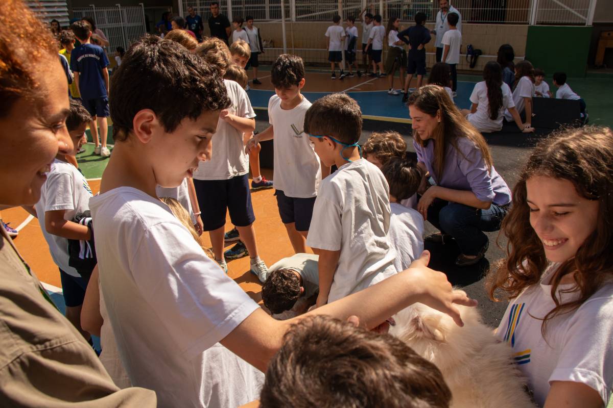 Nosso animado Pet Day - 79